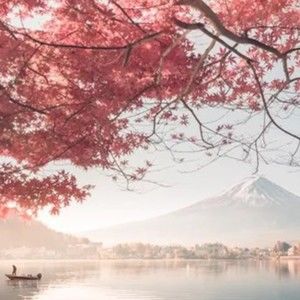 Meet your Posher, Norma